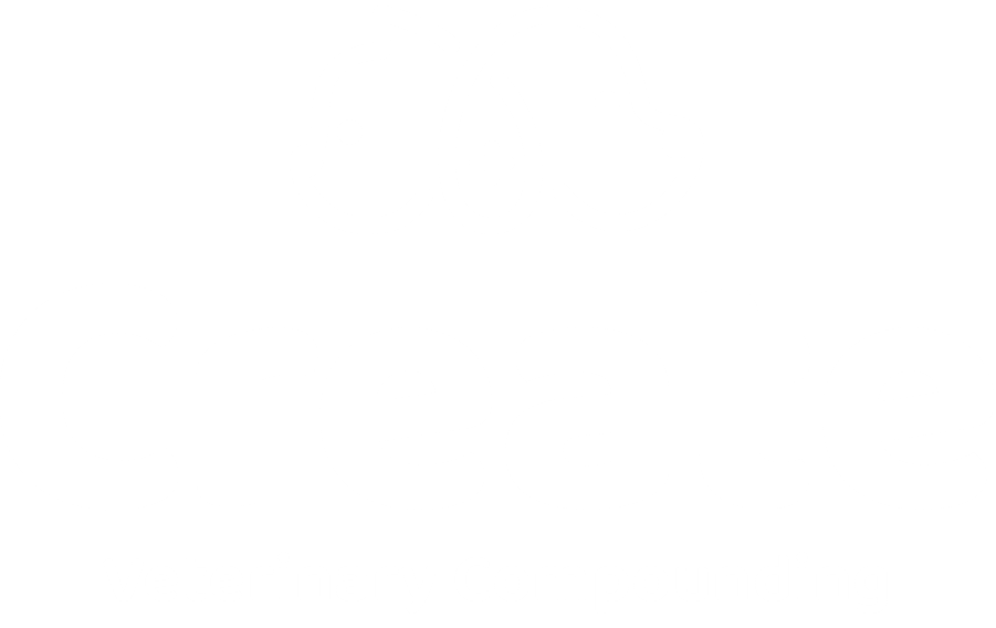 Create Veterinary